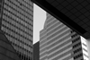 3650 REIT